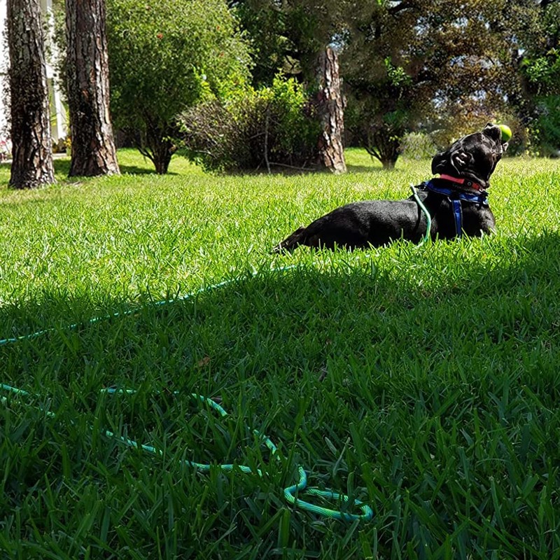 BTINESFUL 8ft 12ft 20ft 30ft 50ft 75ft Dog Tie-Out Long