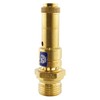Fittingstore TÜV Safety Valves (DN8) 6 to 20 Bar Brass