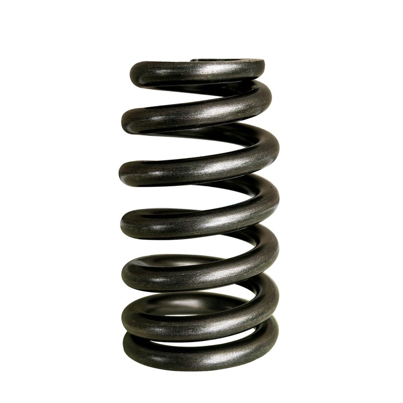 Vanlison 1218 Drop-In Valve Springs, 16 Pack Beehive Springs Set