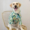 Harikaji Dog Hawaiian Shirt, Summer Pet Clothes Large Dog Cool