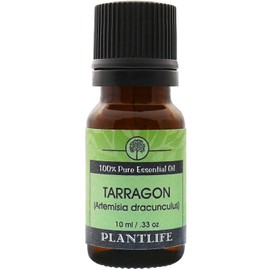 Plantlife Tarragon Aromatherapy Essential Oil - Straight from The Plant 100% Pure Therapeutic Grade - No Additives or Fillers - 10 ml