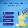 GoHydrate Low Sodium Electrolytes Powder Packets Sugar Free - Instant