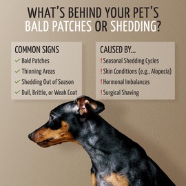 Tauro Pro Line Dog Leave in Conditioner Spray - Supports Pet Coat Regrowth - Cat & Dog Detangler Spray for Shedding, Matted Hair or Post-Surgery Care, Ideal for Doodle, Poodle (Derma Care 8.5 Fl Oz)