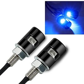 Rupse 2ps License Plate Light,12V Waterproof LED Bulb,License Tag Screw Bolt Lamp for Car Motorcycle Truck RV ATV Bike (Blue)