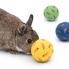 Niteangel Treat Ball, Snack Ballfor Guinea Pigs, Rabbits, Hedgehogs and