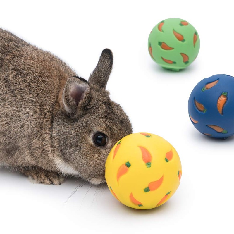 Niteangel Treat Ball, Snack Ballfor Guinea Pigs, Rabbits, Hedgehogs and