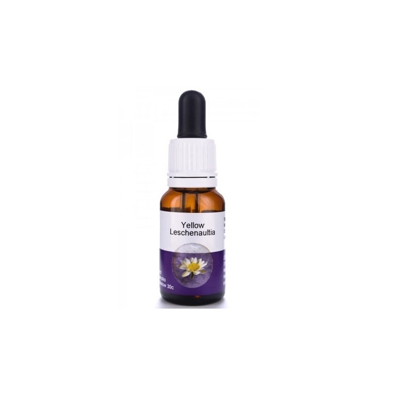 Living Essences Yellow Leschenaultia 15ml
