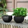 Hanging Planter, 2Pcs Self-Watering Outdoor Hanging Planter with Rustproof Chains,