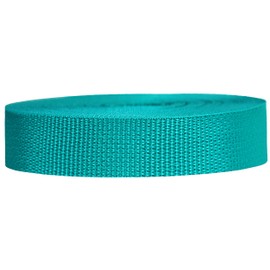 Strapworks Lightweight Polypropylene Webbing - Poly Strapping for Outdoor DIY Gear Repair, Pet Collar, Crafts - 1 Inch x 10 Yards - Teal