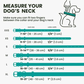 BRONZEDOG Rolled Leather Dog Collar with QR ID Tag Adjustable Soft Round Collars for Small Medium Large Dogs Puppy Cat (Turquoise, 18-25 cm)