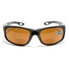 FLORIDA GLASSES Polarized Wraparound Bifocal Reading Sunglasses (Strength +1.50)