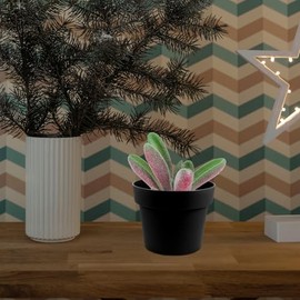 SHOWERORO de Plantas Suculentas Artificiales Estructura de Poste de PVC 18 Piezas Colores Realistas para DIY y Fotografía en Interiores               