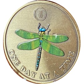 2 Year Green Dragonfly One Day at A Time Sobriety Chip AA NA Medallion