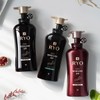Ryeo 려 진결모 탈모증상케어 샴푸 모근모발케어 490ml Ryeo Jinjulmo Hair