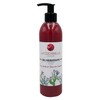 Lanzaloe Cochenille La Cochinilla Moisturising Gel 300 ml