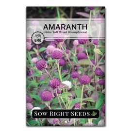 Sow Right Seeds - Tall Mixed Globe Amaranth Seeds for Planting - Non-GMO Heirloom Packet with Instructions to Grow an Outdoor Home Flower Garden - Gomphrena Pompom Flowers in Red, Pink, White (1)
