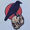 The Raven On The Skull Patch Embroidered Applique Badge Iron