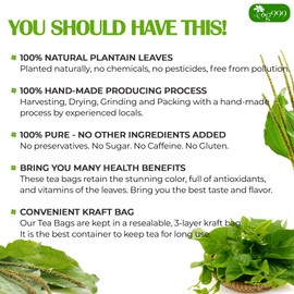 TOG999 Premium 60 Plantain Tea Bags, 100% Natural & Pure Plantain Leaves. Loose Leaf Herbal Tea. No Sugar, No Caffeine, No Gluten, Vegan