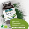 GSE Spirulina Microalgae Powder, 200 g, Iron and Vitamin B12,