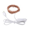 USB Copper Wire String Lights, 100 LEDs 10m/32.8ft DIY Safe