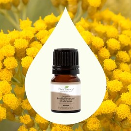 Plant Therapy Plant Therapy Organic Helichrysum Italicum Essential Oil for Skin 100% Pure, USDA Certified Organic, Undiluted, Natural Aromatherapy for Diffusion, Therapeutic Grade 2.5 mL (1/12 oz)