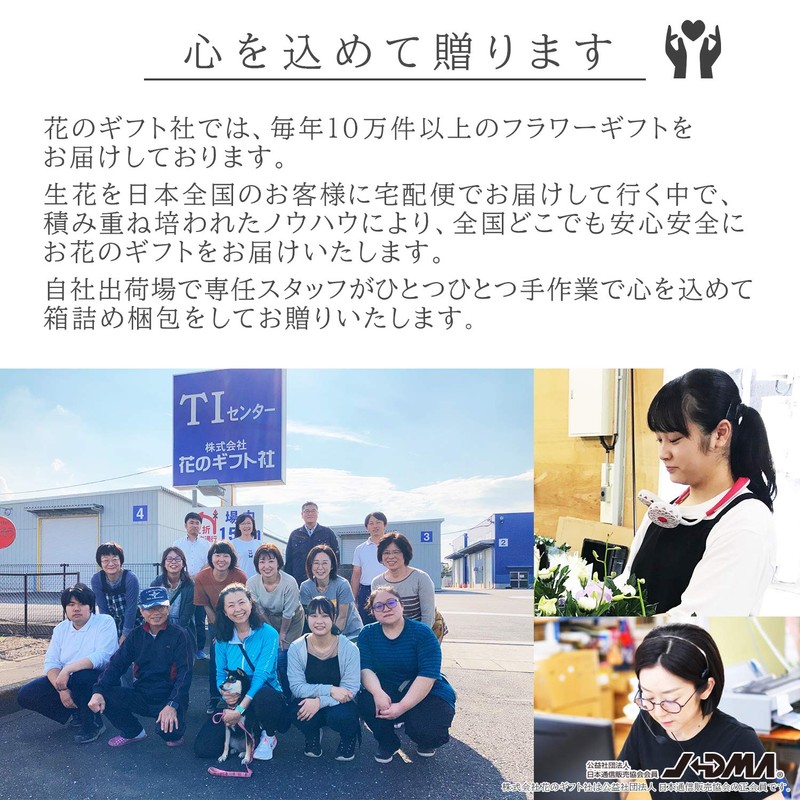 Ficus Microcarpa Ceramic Potted Plant (White)