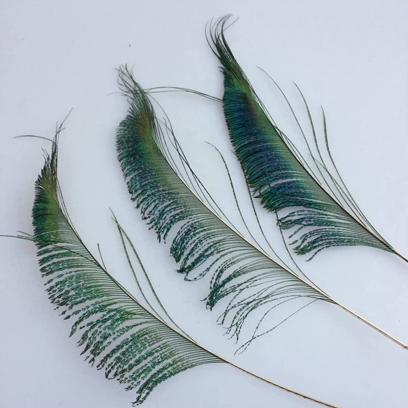 20 Pcs Peacock Feathers, Feathers, Feather, Green Feathers, Feathers for