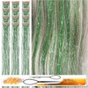 CelineBella Green Hair Tinsel Clip in Hair Strands for Party
