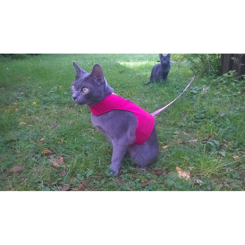 Mynwood Cat Jacket/Harness Red Kitten up to 8 month
