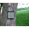 ST. ALBANS BAY SUET PLUS Suet Plus Bird Suet Cake