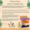 Plant Guru African Shea Butter Raw Unrefined Grade 100 Pure