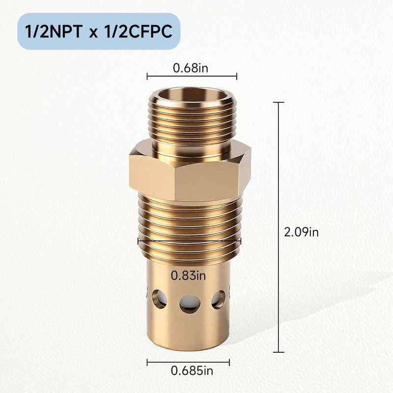 AIYOYOLIFE Air Compressor Check Valve 1/2 npt & 1/2 CFPC