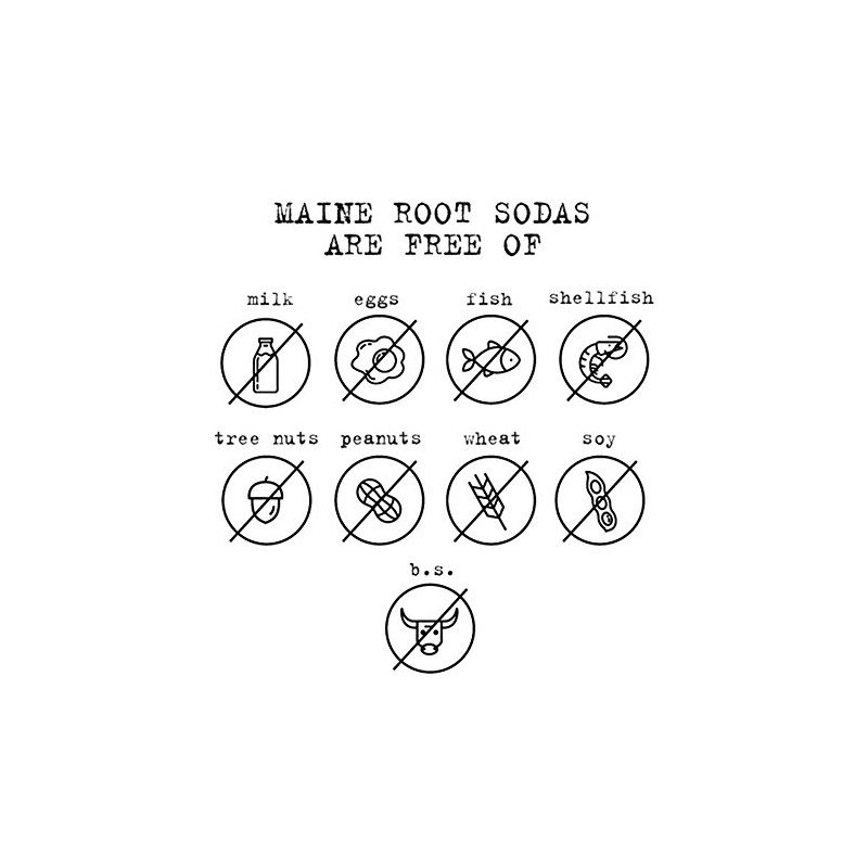 Maine Root Hand Crafted Ginger Brew Soda, 12 fl oz