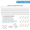 Hiiglxii 12-Light LED Track Lighting Kit with 6.6FT H Track