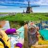Compass Navigation, Two Super Practical Compasses, Lightweight and Small Compass