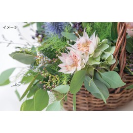 Posh Living 11656 Round Pot Cover Garden Basket, Medium Size