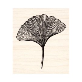 Beeswax Large Ginkgo Leaf Beeswax Rubber Stamp Mounted Scenic Landscape Plant