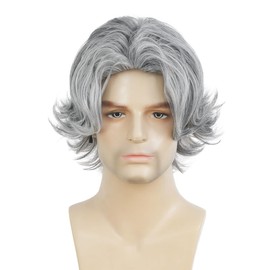 Salaibs Mens Grey Short Wig Middle Part Natural Synthetic realistic Male Hair wig for Daily Use
