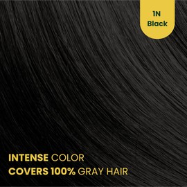 Herbal Time Phytocare Permanent Hair Dye Color Black 1N | Professional Natural Hair Dye Kit | Nourish and Protect Your Hair | Ammonia, PPD and SLS Free | 124.5 ml