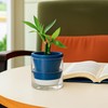 D'vine Dev 4 Inch Design Self Watering Planter for Indoor