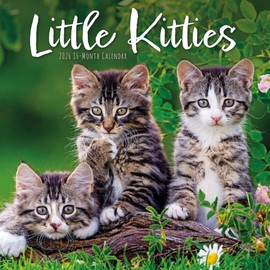 Carousel Calendars, Kittens 2026 Wall Calendar, 12'' X 12'', 16-Month Calendar with Stapled Binding