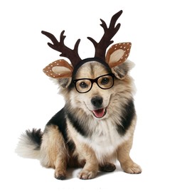 Golden Apple Adjustable Christmas Pet Deer Antlers Headbands Dog Reindeer Elk Headwear Cosplay Costume for Cat Puppy Pet (Antlers, L)