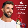 Old Spice Fiji 2-in-1 Shampoo and Conditioner for Men, 21.9