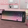 ZIYOU LANG M75 Wireless Gaming Keyboard, RGB Backlit Rechargeable 2000mAh