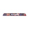 DAKINE AERO Rack Pads 28IN