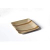 DISPOSABLE GREEN® | 20 X 20 CM Square Plates |