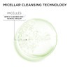 Garnier Skinactive Micellar Cleansing Water for Oily Skin, 2 Count