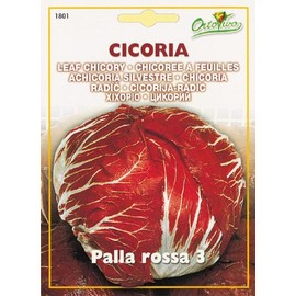 HORTUS Seeds, Art 1801, Leaf Chicory Rossa 3