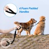 PetBonus PetBonus Double Dog Leash, No Tangle Dual Dog Leash,