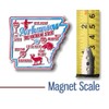 Arkansas Premium State Magnet by Classic Magnets, 2.3" x 2.1",